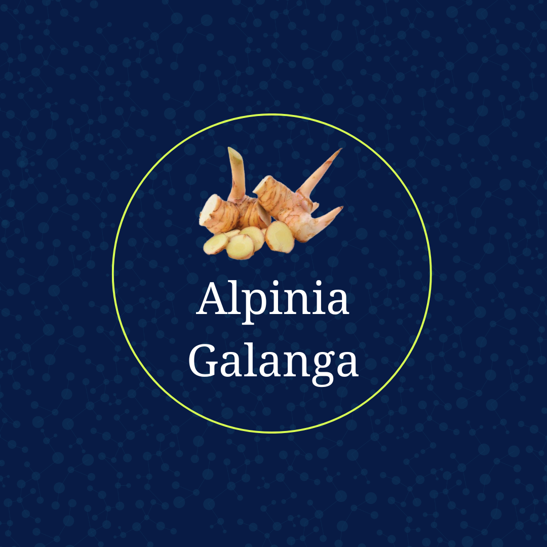 Supplement Spotlight: Alpinia Galanga
