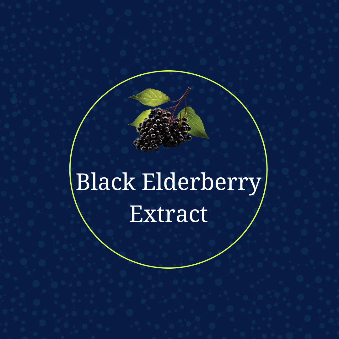 Supplement Spotlight: Black Elderberry Extract