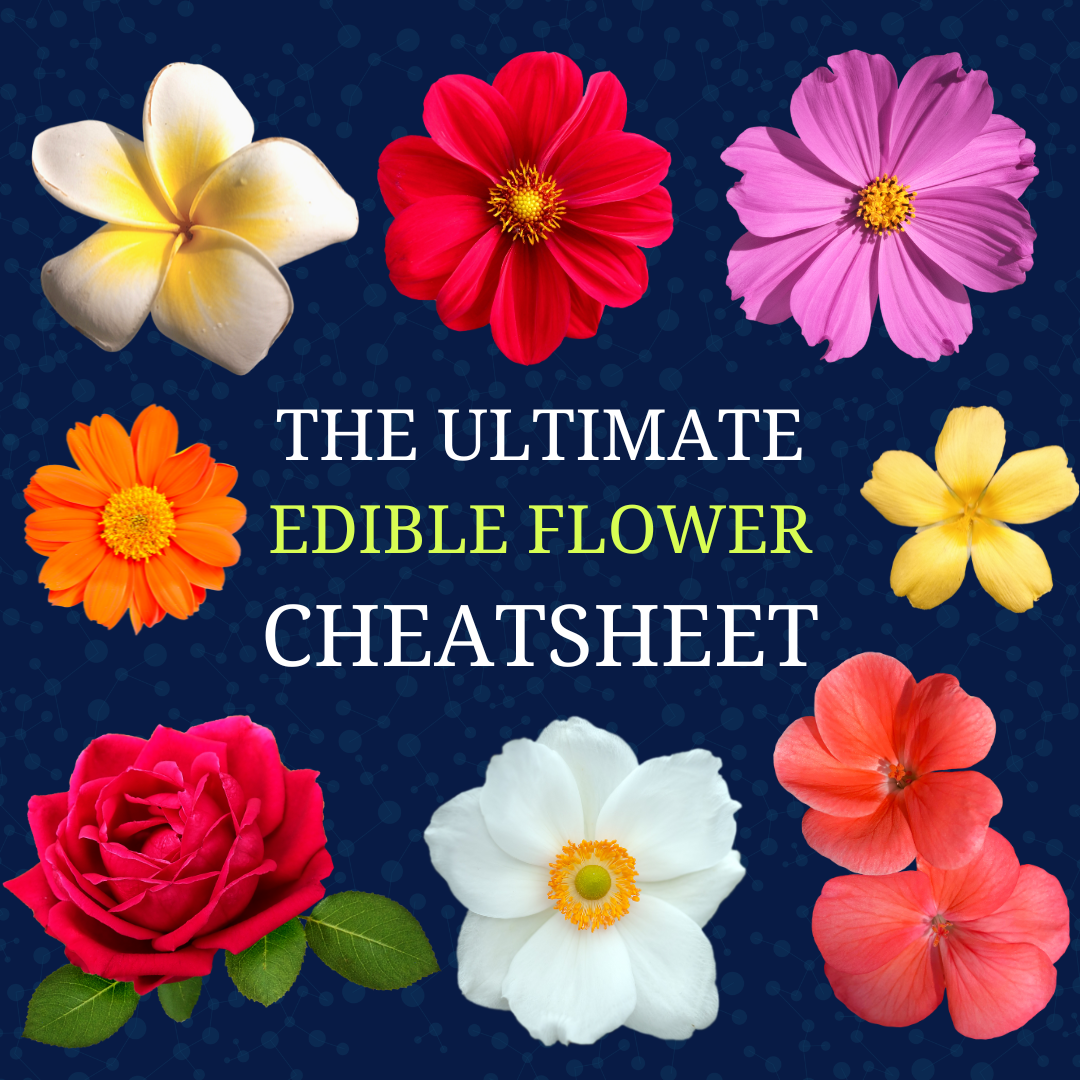 The Ultimate Edible Flower Cheatsheet