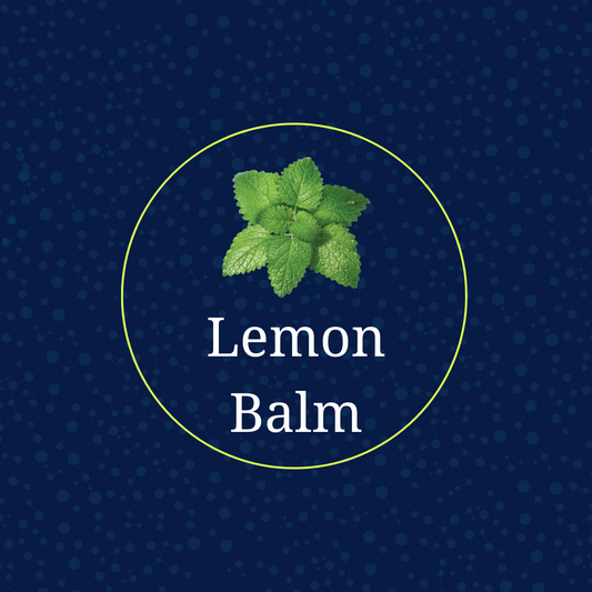 Lemon Balm Extract