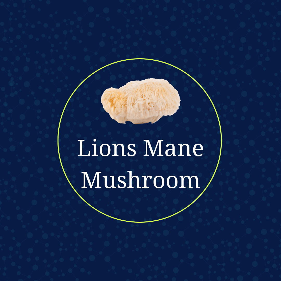 Supplement Spotlight: Lions Mane Extract