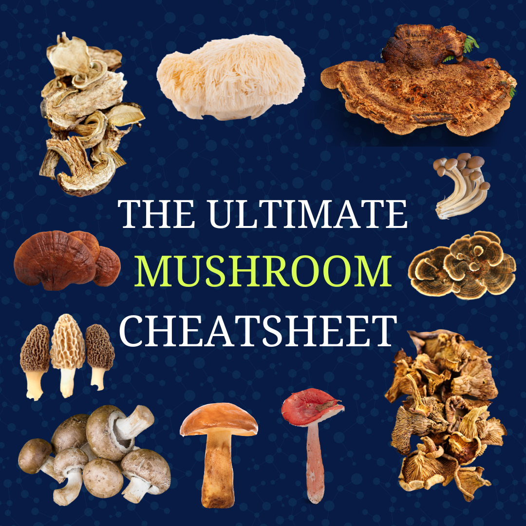 The Ultimate Mushroom Cheatsheet