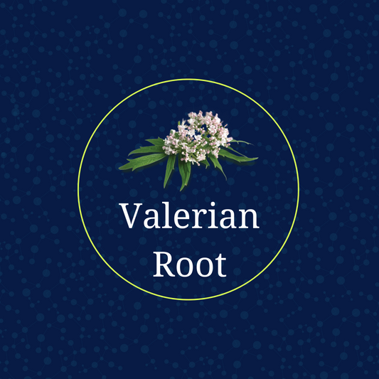 Valerian Root Extract